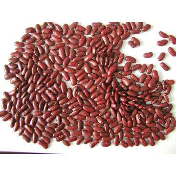 Frijoles rojos en venta